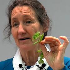 Why Garlic is most important for teeth whitening? We are removing inactive  members from here. If you want to keep getting our recipes say something.😀 