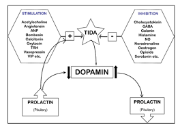 Image result for Hyperprolactinemia
