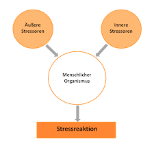 Bei kurzen stressbelastungen entstehen vorwiegend funktionelle beschwerden, die sich rasch wieder normalisieren, wenn die stressauslöser (stressoren) nachlassen. Stress Brigitte Grebe