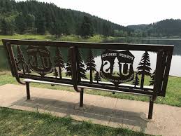 What background color is used for parks and recreation signs? Black Hills National Forest Cook Lake Recreation Area