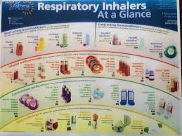 Inhaler Chart 2017 Related Keywords Suggestions Inhaler