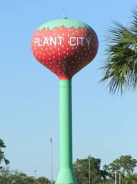 Plant City In Hillsborough County Is Known For It S Strawberries You Can T Miss The Strawberry Water Tower Photo Credit Water Tower Strawberry Water City