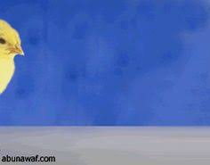 pin by naji othman on متحرك painting art