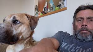 Is anyone missing a dog in Mountain Home IDAHO?