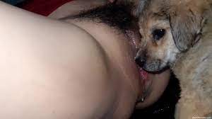 Puppy licking pussy