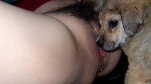 Puppy licks pussy