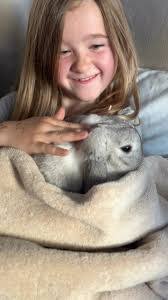 Candace Draper's Instagram, Twitter & Facebook