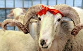 Muslims around the world observe this event. Zakazat Uslugu Zhertvoprinosheniya Na Kurban Bajram V Kazahstane Mozhno Onlajn Inbusiness
