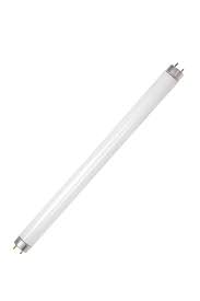 Your area may prohibit disposal and/or require recycling. Light Bulb Fluorescent Tube City Of Fort Collins
