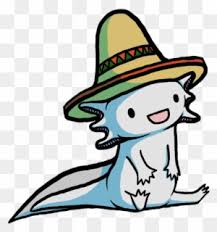 How to draw a chibi anime or manga character step by step. Axolotl Clipart Piano Axolotl With Sombrero Free Transparent Png Clipart Images Download