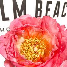 Bess flowers was born on november 23, 1898 in sherman, texas, usa. Palm Beach Wholesale Flowers Inc Home Facebook