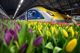 However, this isn't for much longer. Amsterdam Eases Eurostar Train Travel To London Bloomberg