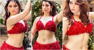 Tamannaah Bhatia Biography