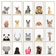 We're so excited to share this diy tutorial from blue label member rachael grace photography. Nuomege Baby Animal Poster Panda Giraffe Elephant Canvas Painting Nursery Wall Art Nordic Picture Kid S Bedroom Decoration Painting Calligraphy Aliexpress