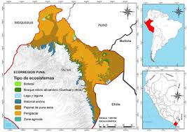 La puna en los diferentes paíseseditar · editar código. Fragmentacion Antropogenica De Los Ecosistemas De Puna En El Extremo Sur Del Peru