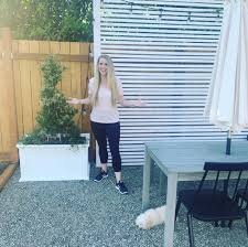 Biggest selection of materials, colors & print options in stock. Easy Diy Privacy Screen Fence Dreaming Of Homemaking
