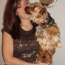 Try the craigslist app » android ios cl gainesville gainesville albany, ga brunswick, ga daytona beach dothan, al fort myers heartland fl hilton head jacksonville, fl lake city lakeland ocala orlando panama city, fl sarasota savannah space coast st augustine statesboro tallahassee tampa bay treasure coast valdosta > Airedale Craigslist Online Off 68