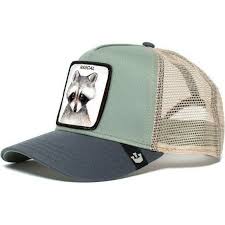 Little rascal also known as xiao hundan. Goorin Bros Youth Raccoon Little Rascal Grey Trucker Hat Caphunters De