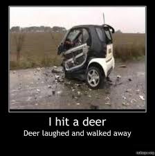 I Hit A Deer Deer Laughed And Walked Away Funny Captions Haha Funny Funny Pictures