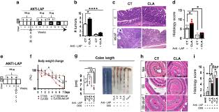 Short form of many names beginning with av. Cla Supplemented Diet Accelerates Experimental Colorectal Cancer By Inducing Tgf B Producing Macrophages And T Cells Mucosal Immunology