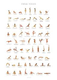 Yoga Poses In 2020 Basic Yoga Yoga Poses Names Basic Yoga Poses