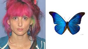 A Woman In Ohio Was Arrested For Stealing A Live Butterfly