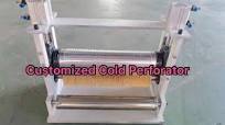 High Quality Perforating Pinned Roller for Plastic Film, Woven Bag  Perforation Sleeve Shaft
