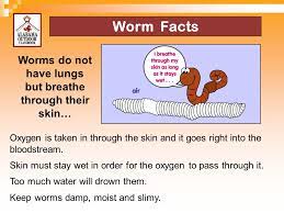 Earthworm skin is coated with. Worms Are Part Of The Animal Kingdom Ppt Video Online Download