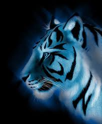 Epingle Par Jade Sur Animaux Dessin Kawaii Animaux Tigre Blanc Animaux Legendaire