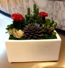 This is the way back from sacramento.at least it wasn't as smoggy in la this time. La Cactus In Los Angeles Ca Downtown Flowers Net