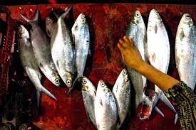 Untuk pemasaran usahanya, bapak sulaihan mencoba bermitra dengan pihak lain (cv. Bandeng Gresik Bisnis Nener Yang Bikin Nanar 3 Mongabay Co Id Mongabay Co Id