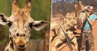 Image result for american trophy hunters