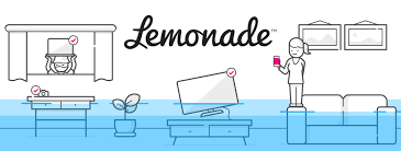 Lemonade insurance came on the scene in 2015 and changed the renters insurance world by simplifying the entire process. Case Study Lemonade A Refreshing New Approach To Insurance Mark Prince