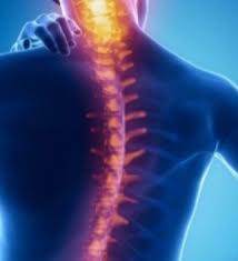 Image result for Spinal Shock