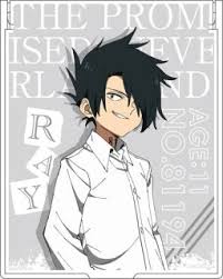 It was serialized in shueisha's weekly shōnen jump from august 2016 to june 2020, with its chapters collected in twenty tankōbon volumes. The Promised Neverland Mirror Ray Anime Toy Hobbysearch Anime Goods Store