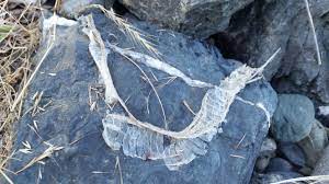 Dead Snake Skin Manicsunrise Snake Skin Outdoor Blanket Poncho Liner