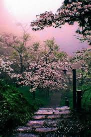 Pin By Emelia Garcia On Flowers Beautiful Landscapes Beautiful Nature Nature Photography