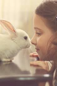 Kids And Bunnies Bunnies Beauty Photoshoot All The Stuff I Care About Cute Baby Animals Kids Photoshoot Girls Cuddling
