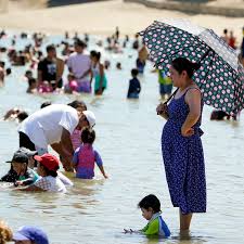 Touched sharks, starfish& sting rays. How Your Labor Day Blast Could Make Pandemic Life Worse In The Fall The New York Times