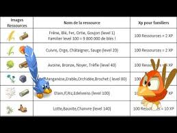 Dofus Tableaux D Experience Des Ressources Pour Familiers Youtube