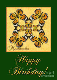 Hallmark birthday greeting card ~ paper wonder shadow box butterfly field. Monarch Butterfly Birthday Card Photograph By Melissa A Benson