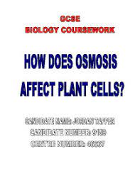 Maybe you would like to learn more about one of these? How Does Osmosis Affect Plant Cells Gcse Science Marked By Teachers Com
