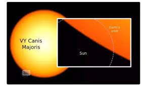 Sun compared to vy canis majoris: Can You Imagine The Size Of Vy Canis Majoris Astronomy