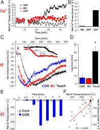 Insect Haptoelectrical Stimulation Of Venus Flytrap Triggers