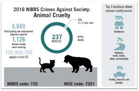 This statistic shows the average inflation rate in malaysia from 2010 to 2024. Animal Cruelty Number