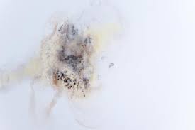 Then, get a towel or a white cloth and blot the area until the stain lifts. Covering Up Ceiling Stains In Your Mobile Home Foremost Insurance Group