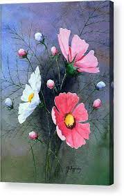 Cosmos Acrylic Print By Jo Appleby Watercolor Flowers Tutorial Flower Painting Watercolor Flowers