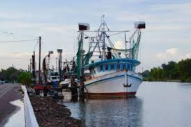 Bayou Shrimp Boat Shrimp Boat Boat Fishing Boats