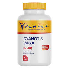 Image result for Cyanotis vaga