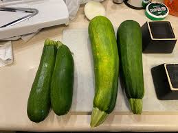 How to store garden zucchini. Store Bought Vs Garden Fresh Zucchini Pics